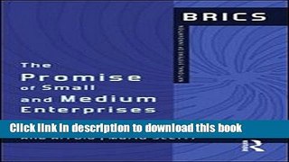 Read The Promise of Small and Medium Enterprises: BRICS National Systems of Innovation  Ebook Free