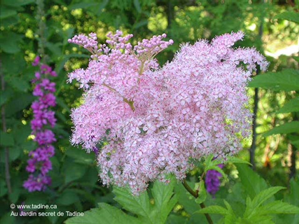 La terre tourne encore