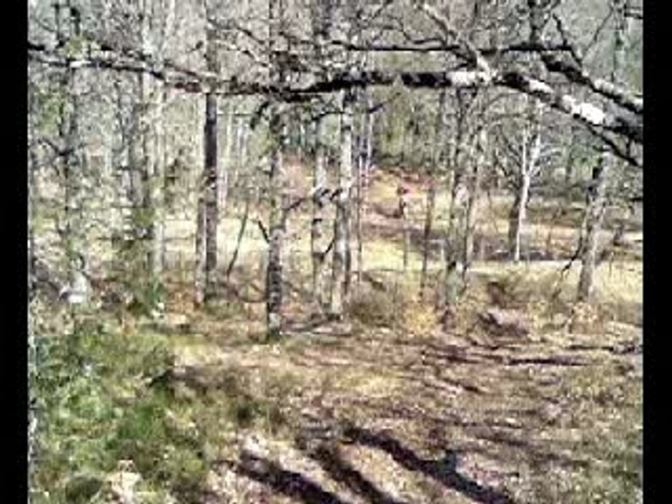 Clip moto