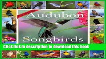 Read Book Audubon 365 Songbirds   Other Backyard Birds Calendar 2008 (Picture-A-Day Wall
