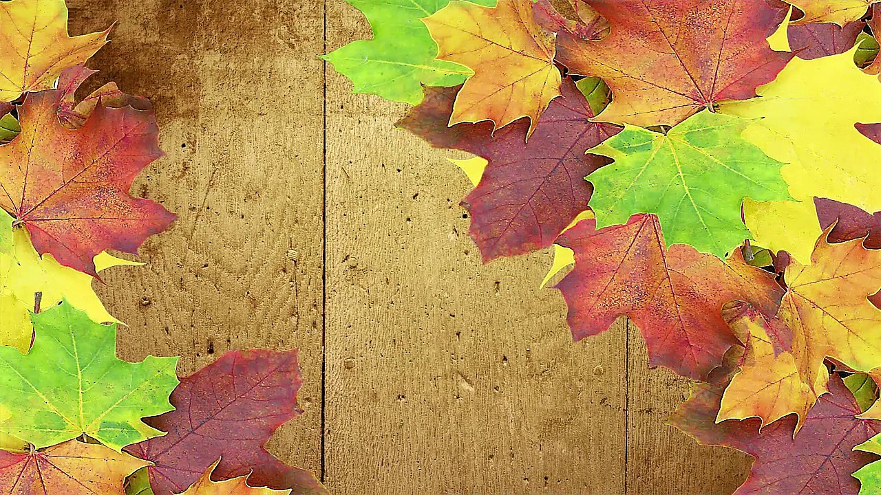 Maple Leaf Pictures