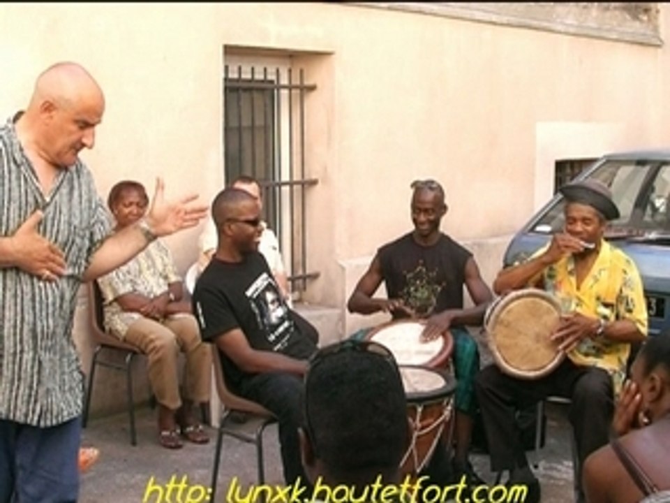 harmonika