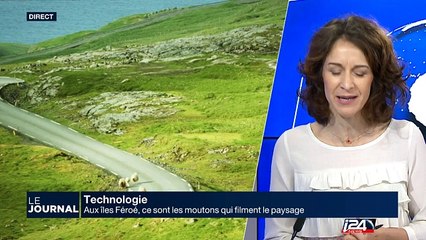 Aux iles Féroé, ce sont les moutons qui filment le paysage