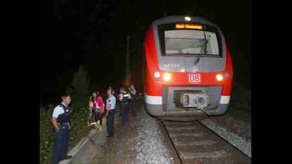 Hallan el dibujo de una bandera del EI en la habitación del agresor del tren