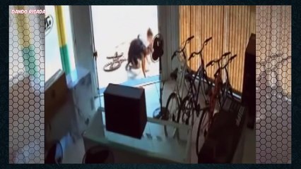 Whatsapp Videos Fails Engraçados Best Funny Comedy Risas Pata Final Maio 2016