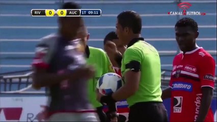 Attaque violente d'abeilles pendant un match de foot