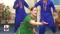 NARGIS VE TERI KI MAJAL - New Punjabi Mujra 2016