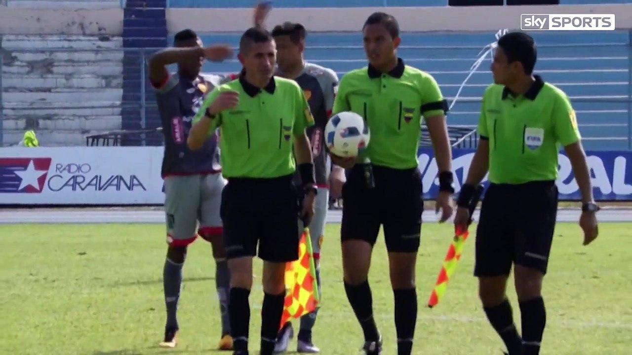 bees invade a pitch in ecuador