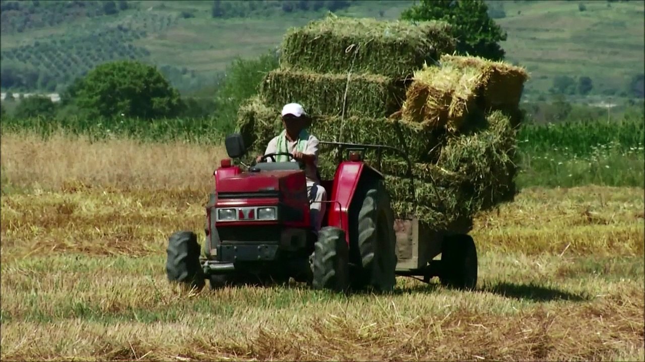 Staudamm-Projekt in Albanien gefährdet einzigartige Flusslandsch