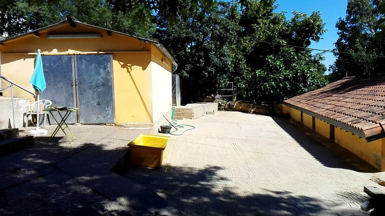 A Foulayronnes, le centre canin Moulié accueille les chiens pendant les vacances