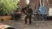 Un singe armé d'une kalashnikov fait peur à des soldats