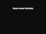 Popular book Global Labour Flexibility