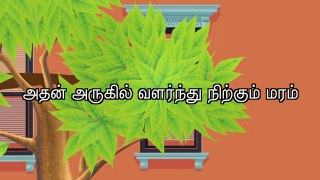 11.07.2016 Naam Tamilar Seeman's Daily Quotes 34