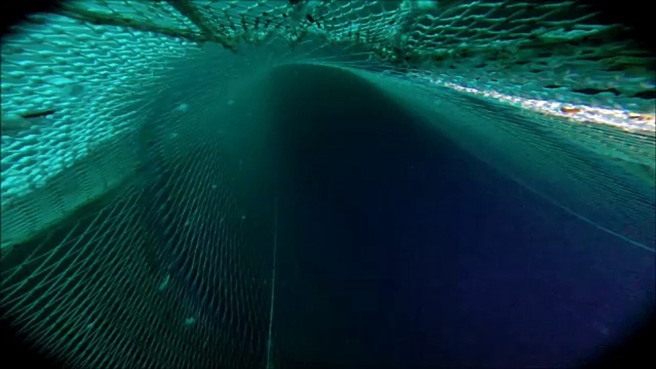 018 Kwalletjes in Startrek modus  Trek 10 vlc-record-2016-07-17-21h07m49s-GP010341.MP4-