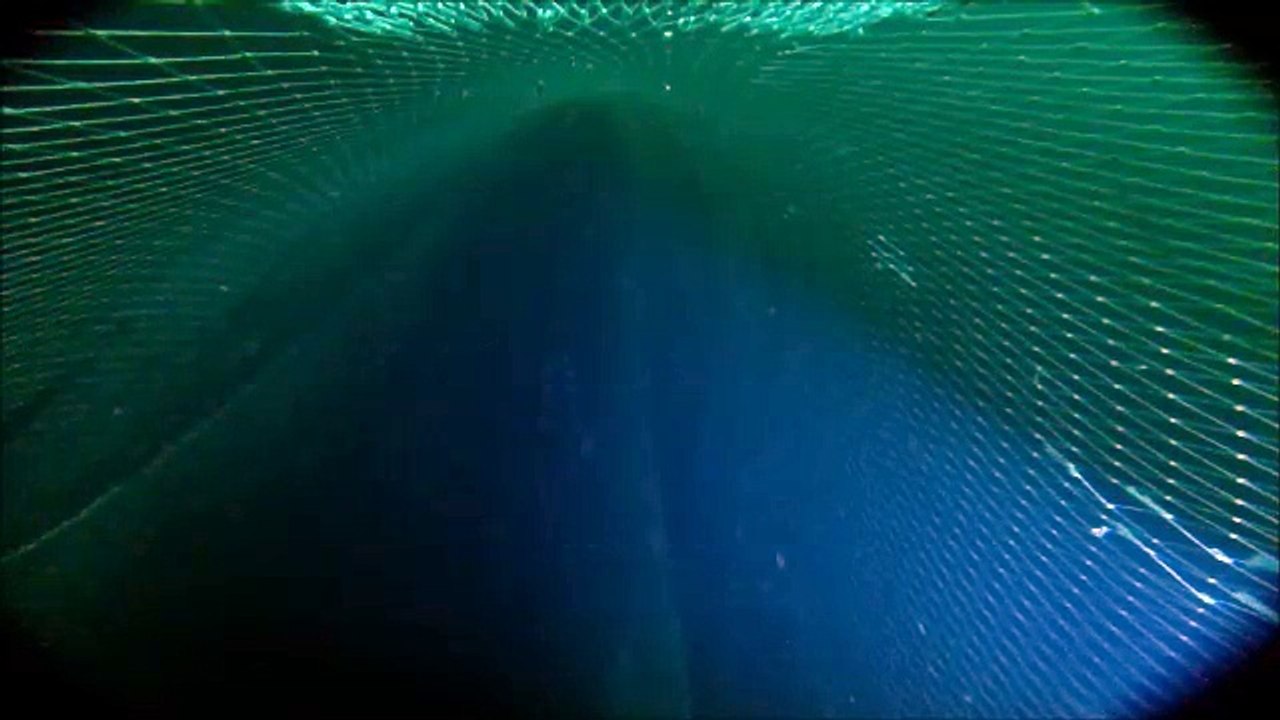 022 Zandspiering in de tunnel Trek 9 vlc-record-2016-07-17-20h56m33s-GP030904.MP4-