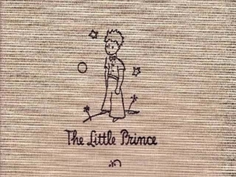 Petit Prince Damien Saez