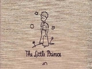 Petit Prince Damien Saez