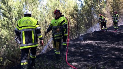 Incendie à Martigues : 5000m² de végétation brûlés