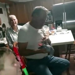 Ce perroquet est un sacré farceur, regardez ce que ce dernier fait