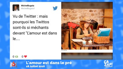 Les meilleures blagues des internautes sur L'amour est dans le pré !