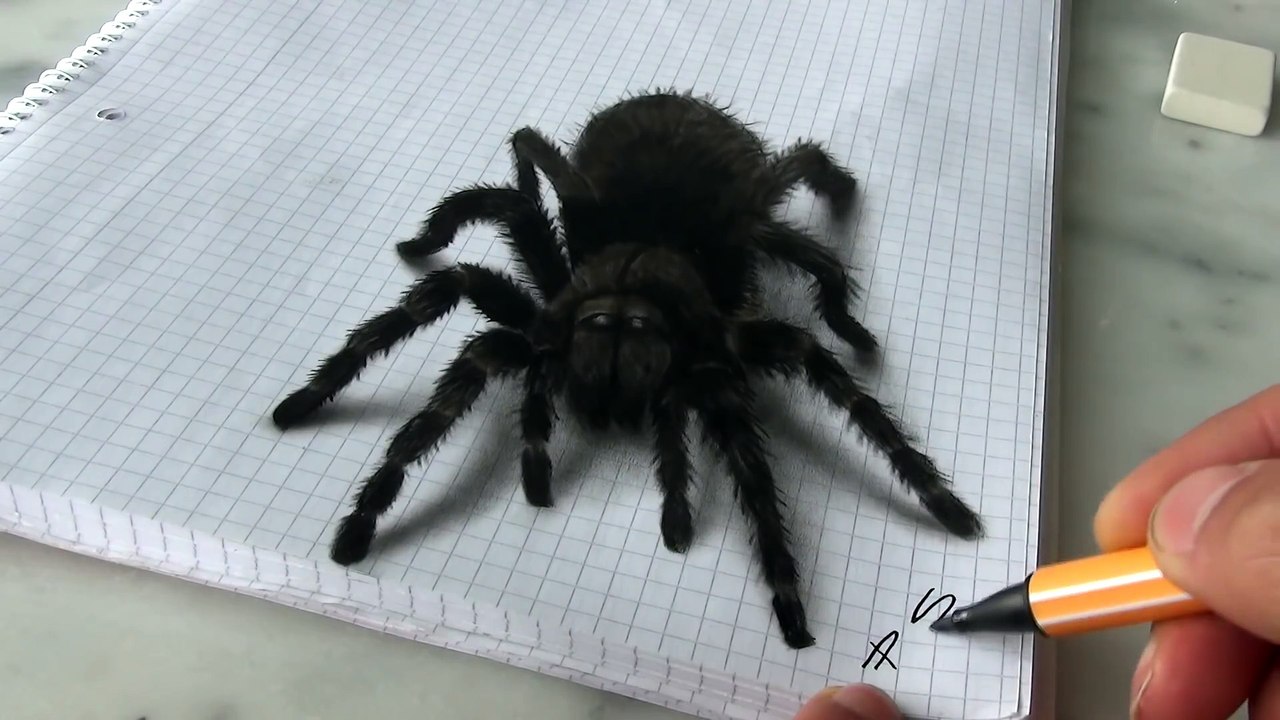 3D Spider Drawing AMAZING realistic illusion!