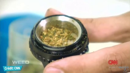 Top 5 Faits HALLUCINANTS sur le cannabis ! (Juillet 2016)