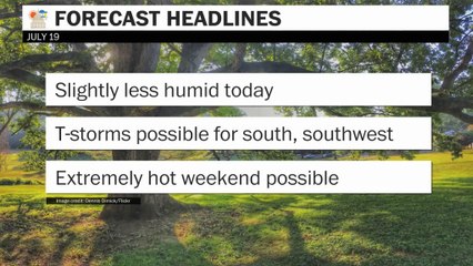 Slightly less humid today