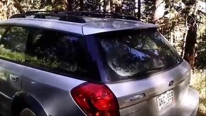 Il retourne dans sa voiture qu’il avait laissé en pleine nature, attendez de voir ce qu’il y retrouve !