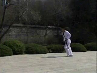 Taekwondo kicks (PART 1)