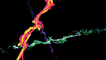 Fernando Campo - Feel The Bass (Original Mix)