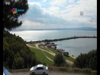 Sınırdaki jiletli teller hayvanların ölümüne neden oluyor