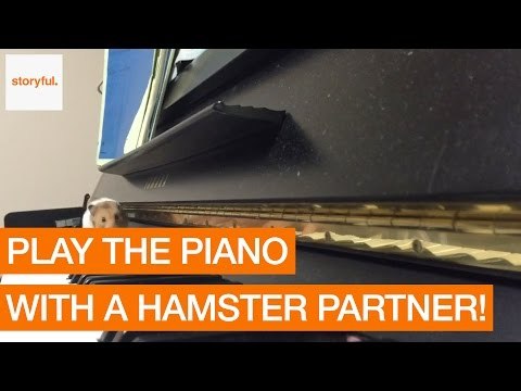 Hamster Decides to Join in Piano Recital