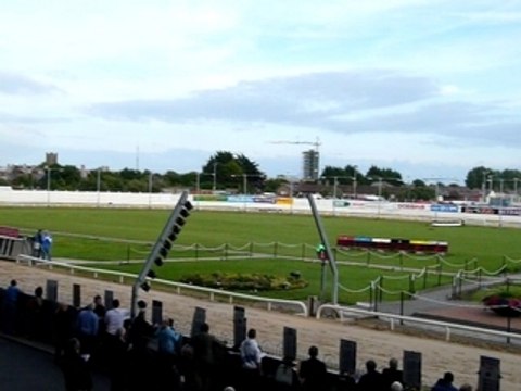 Course de levriers