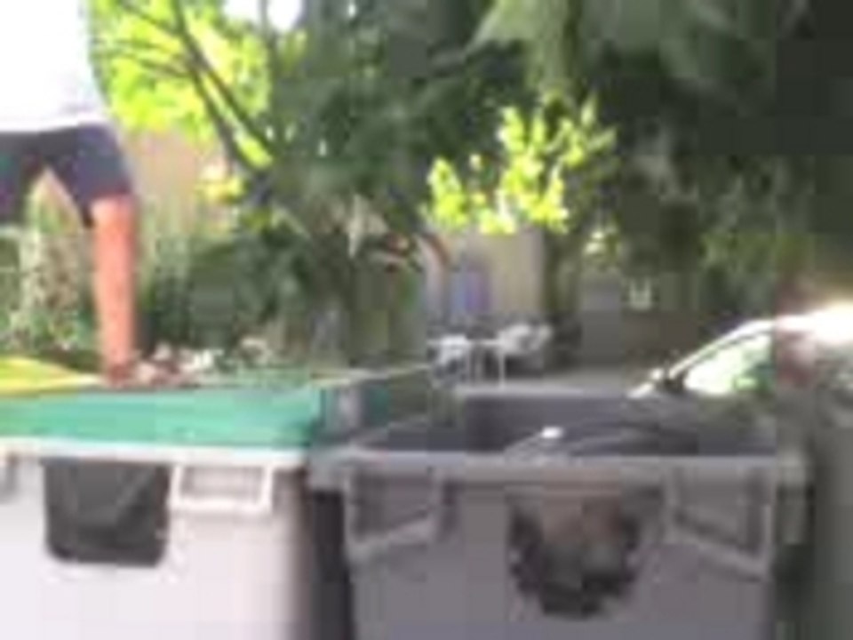 poubelle man