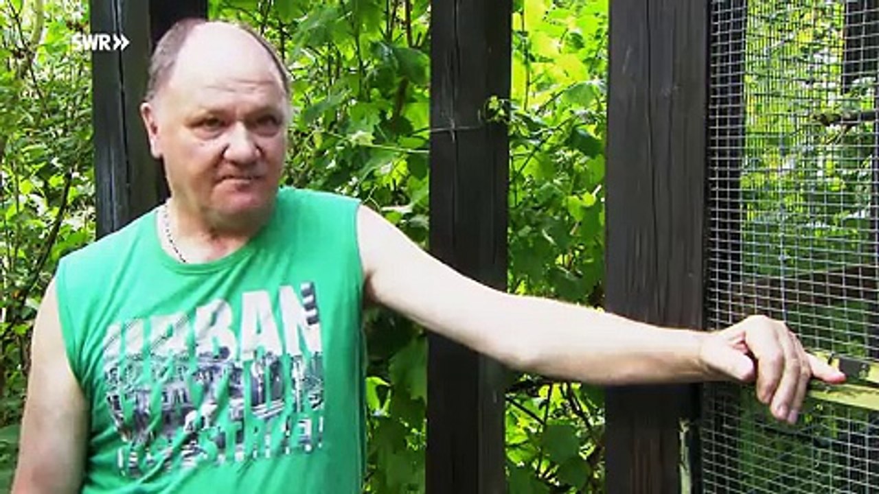 Auf dem Gelände der Gartenschau in Kaiserslautern ist ein junger Uhu von seinem Brutplatz abgestürzt. Vogelschützer Kurt