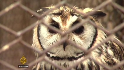 Century-old Argentina zoo turns into interactive eco-park