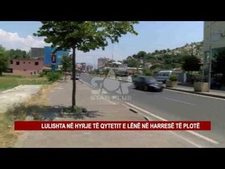 LULISHTA NË HYRJE TË QYTETIT E LËNË NË HARRESË TË PLOTË