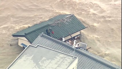 Pendant une inondation, ils ont refusé d'abandonner leurs chiens... Regardez le sauvetage !