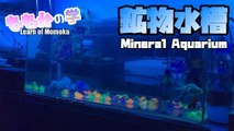 【Study】Layout to Mineral Aquarium! 鉱物水槽にレイアウト！
