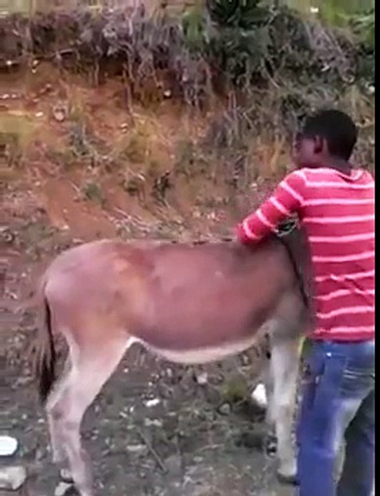 Funny Clip of 2016