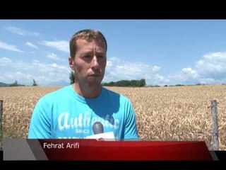 Lajme - Ka filluar fushata e korrje shirjeve