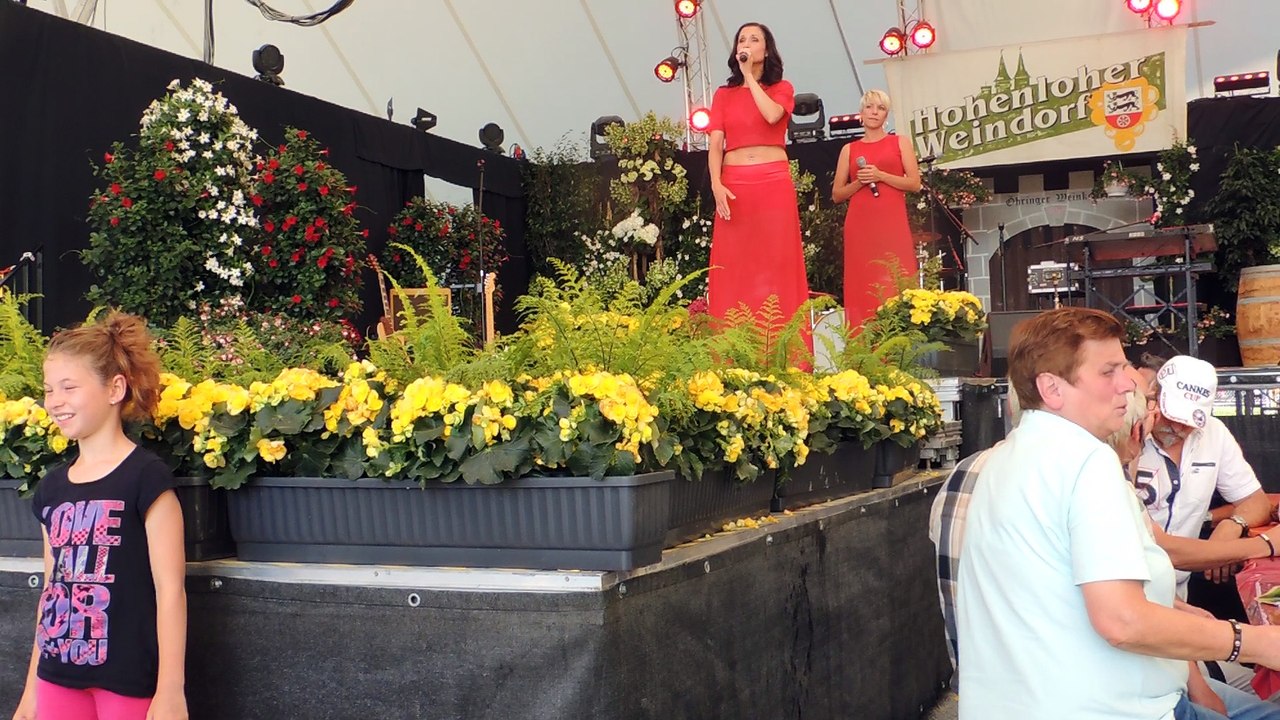 Vlc-record-2016-07-19-18h25m06s-dscn7484.mov-