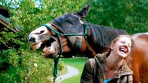 50 Photos Taken At The Right Moment With Funny Animals _ Fotos Tomadas en el Momento Exacto