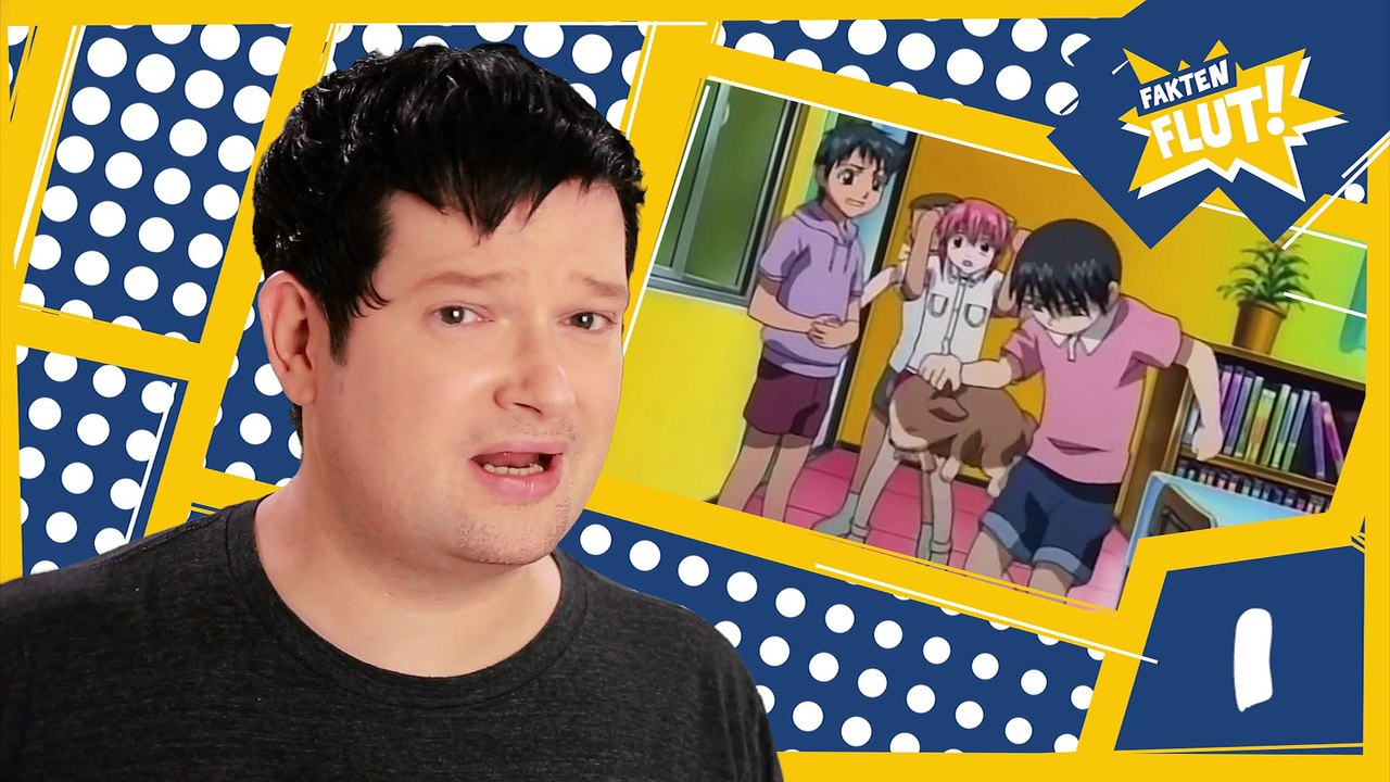 Anime für Erwachsene | Faktenflut