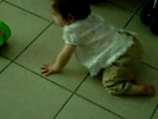 mon premier 4 pattes !