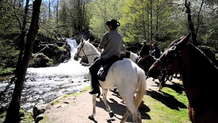 Le Morvan à Cheval
