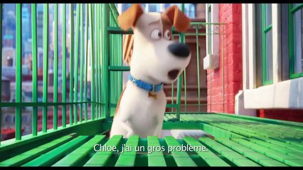 Comme Des Bêtes (2016) - Bande Annonce / Trailer #3 [VOST-HD]