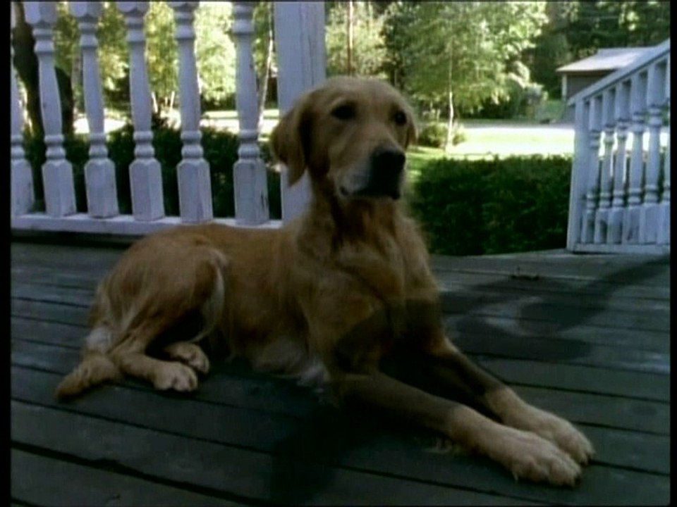 Chair de Poule - Le Loup-Garou Des Marecages  Partie 2 (fin de la saison )
