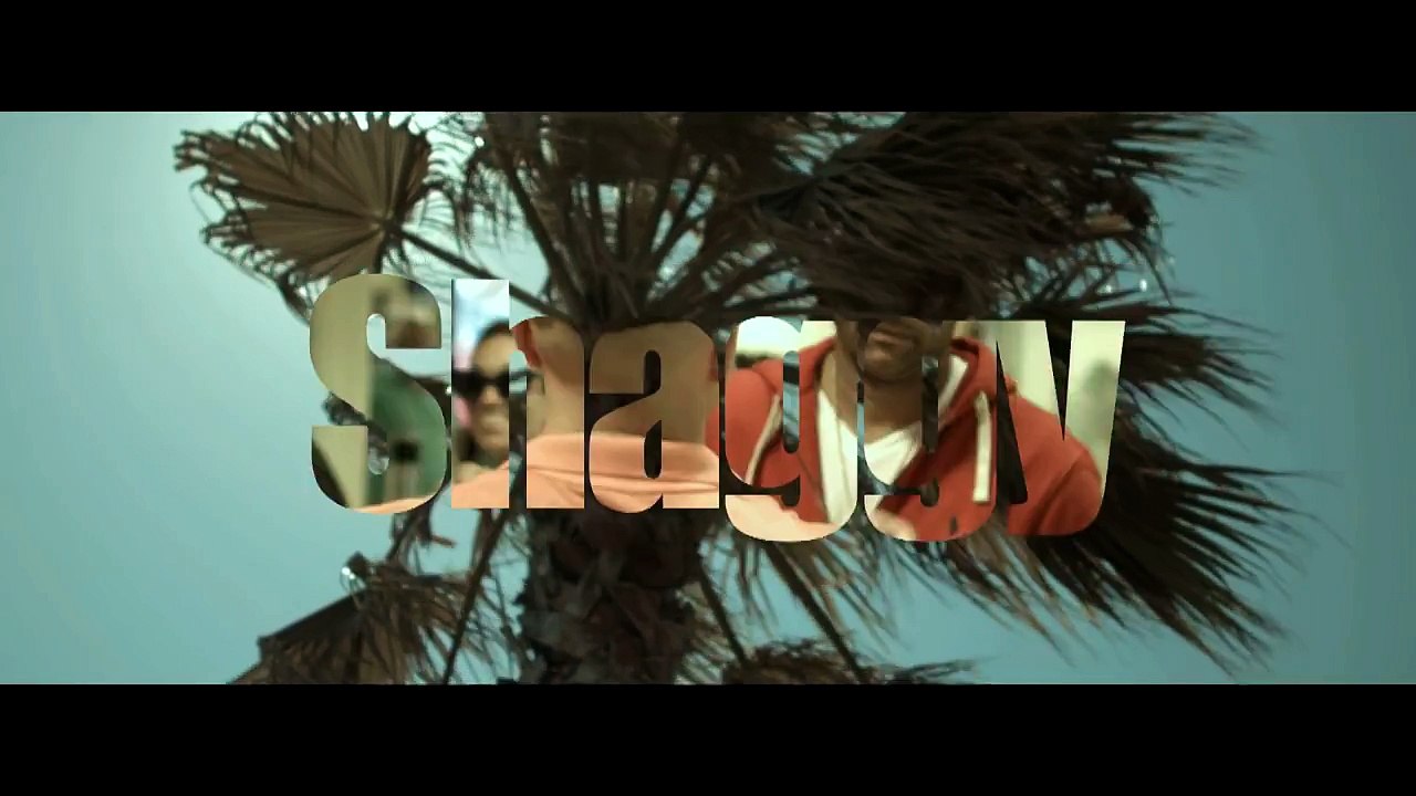 Shaggy Mohombi Faydee Costi - Habibi