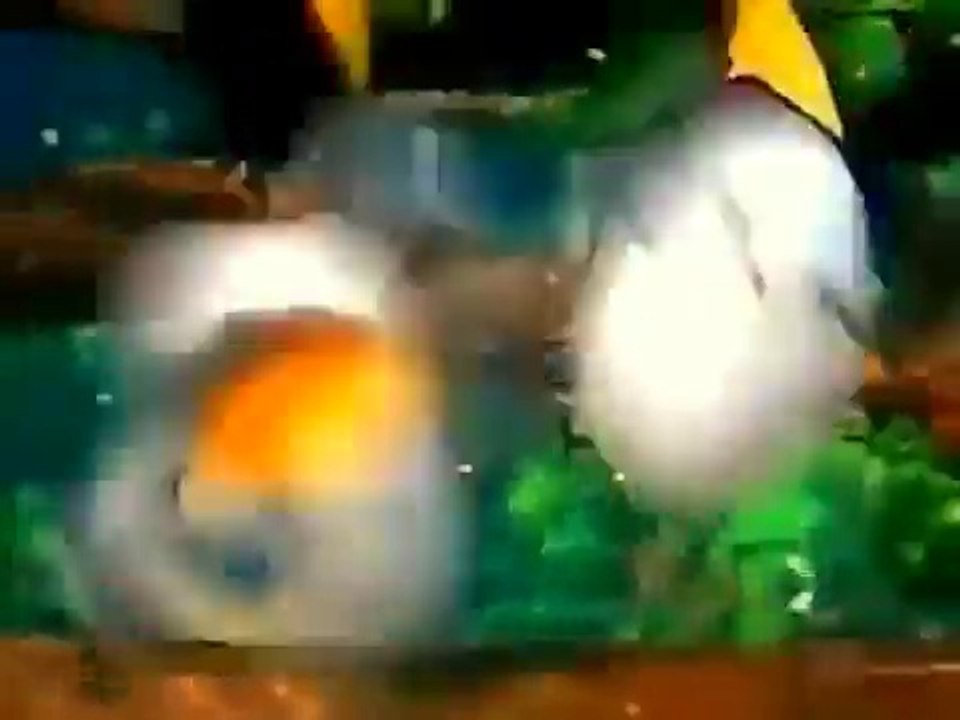 Joyeux Anniversaire Rudy Video Dailymotion